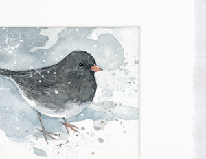 Junco Art Print, Winter Bird Watercolor Painting, Birdwatcher Gift