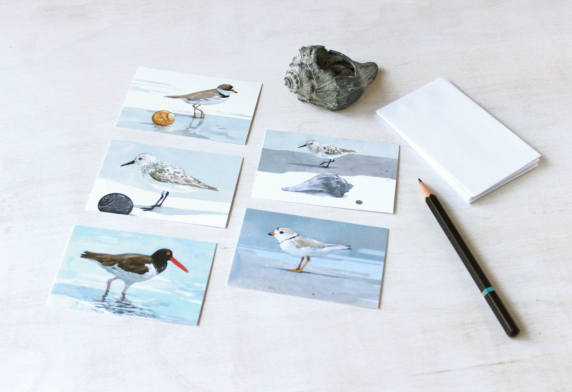 Shorebirds Mini Gift Note Cards