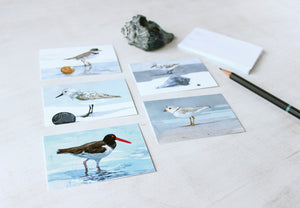 Shorebirds Mini Gift Note Cards