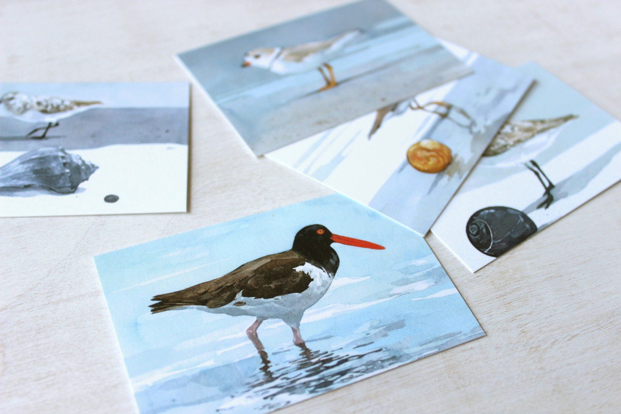 Shorebirds Mini Gift Note Cards