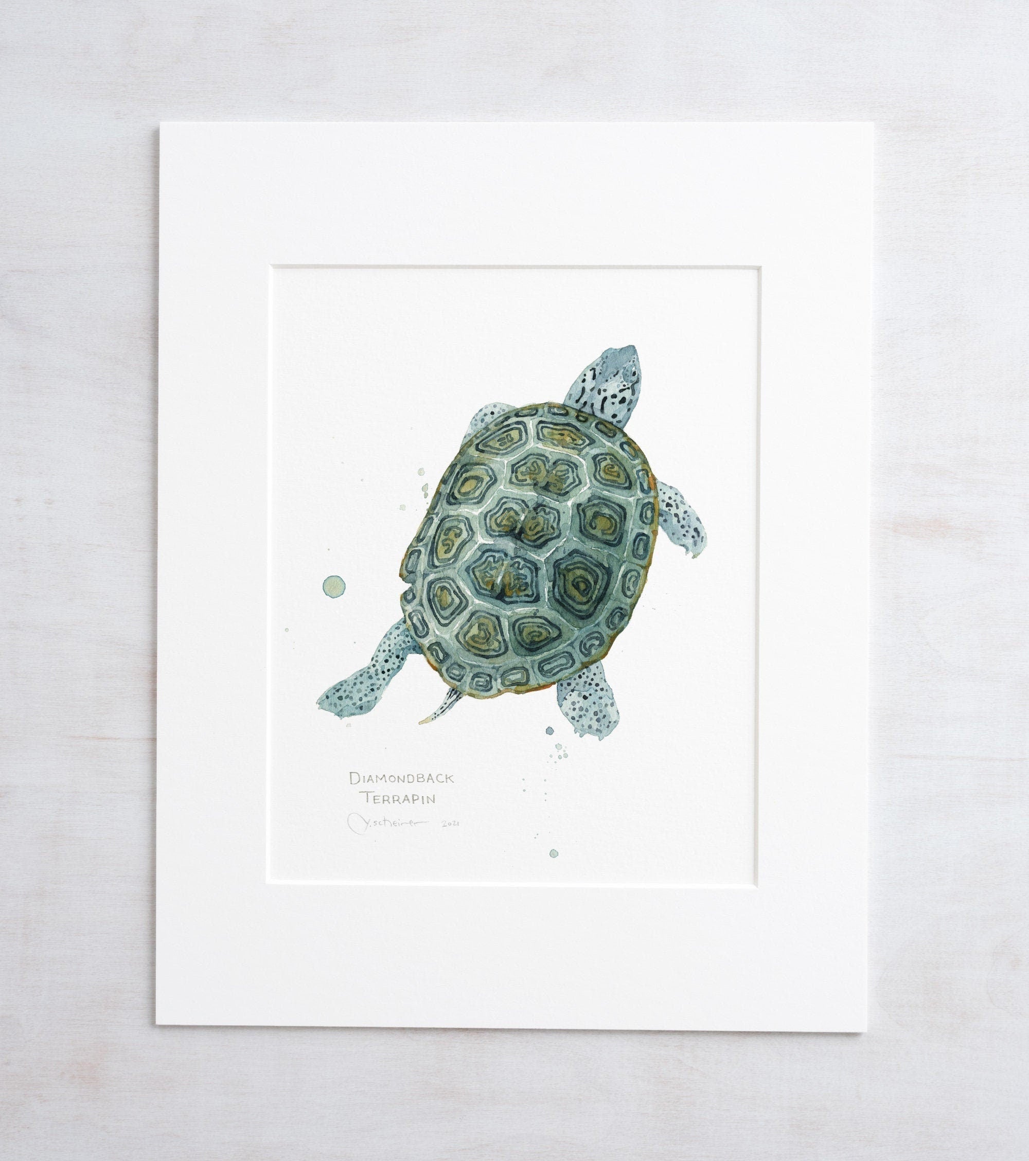 Diamondback Terrapin Art Print, Coastal Turtle Watercolor Wall Art