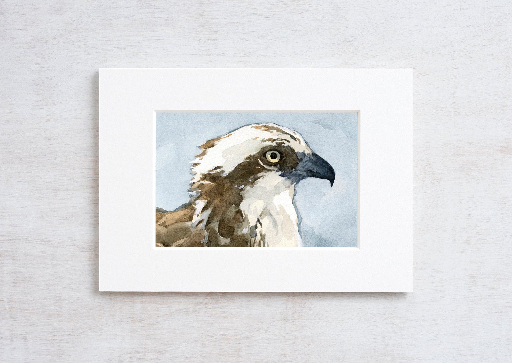 Osprey Watercolor Painting Print, Coastal Bird Wall Art Print