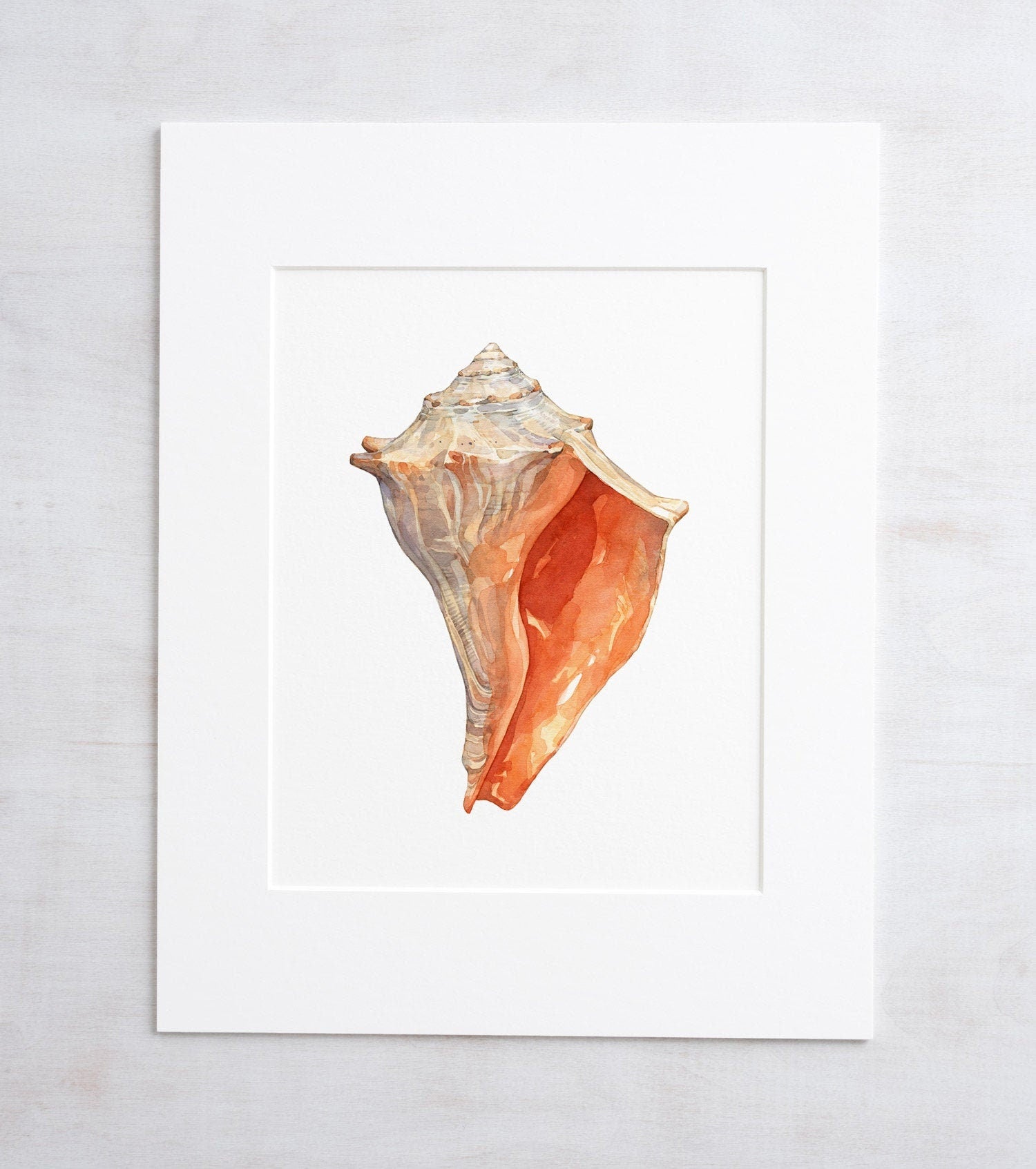 Orange Whelk Shell Watercolor Art Print 8x10, Seashell Beach Decor Seashore Art