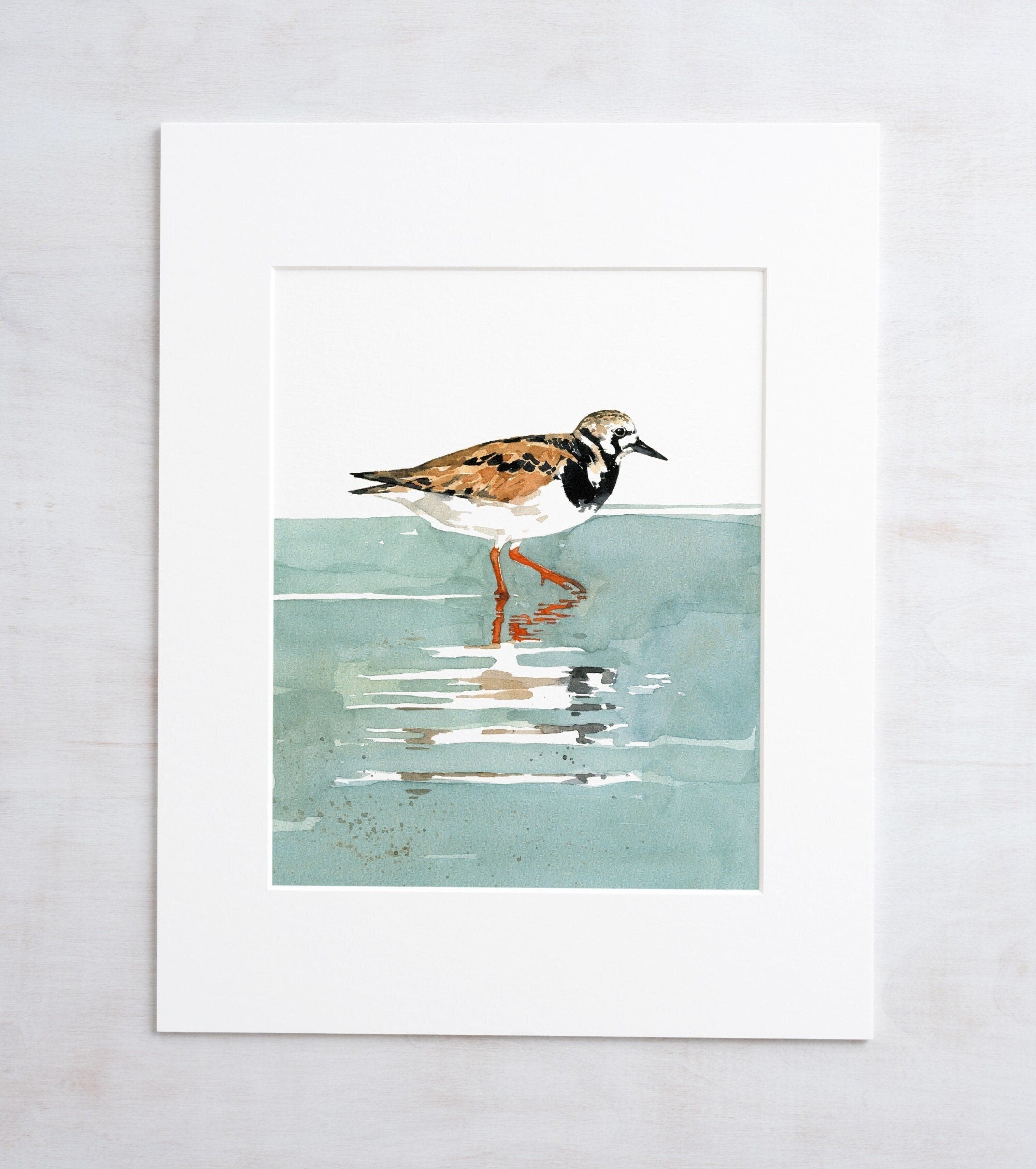 Ruddy Turnstone Shorebird Art Print, Beach Sandpiper Wall Decor