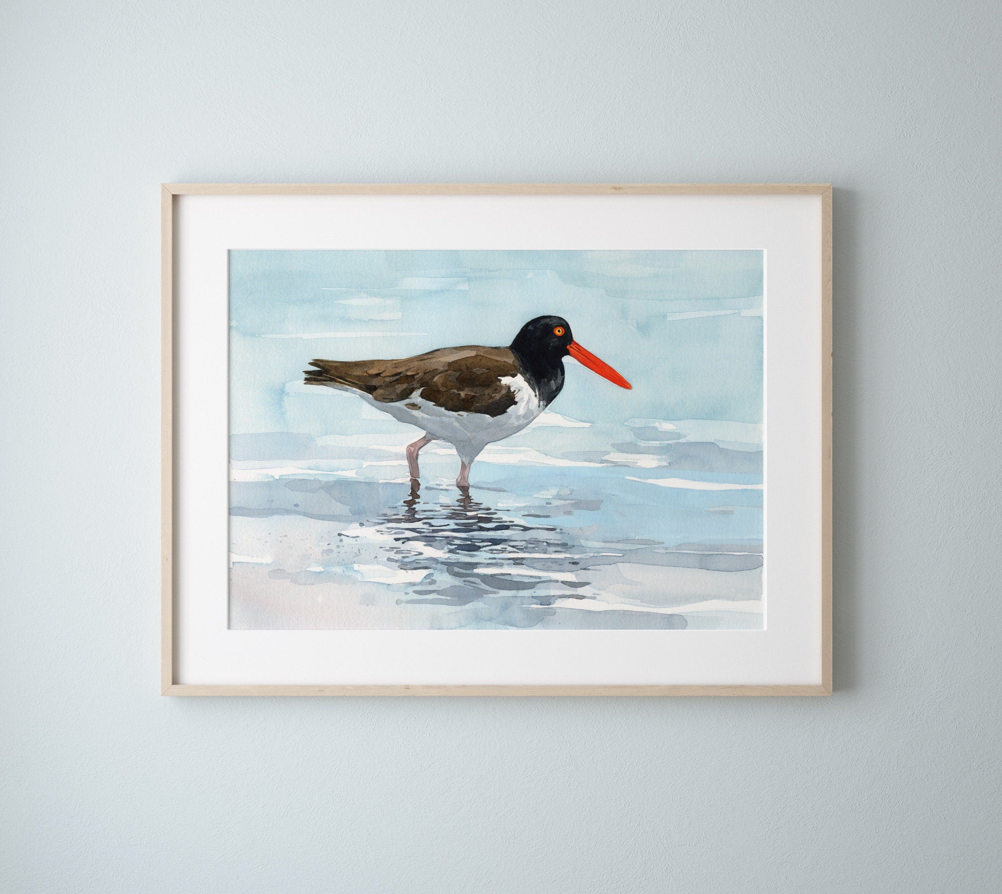 Oystercatcher, Print Beach Watercolor, Bird Wall Art, Coastal Bird Print