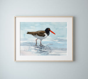 Oystercatcher, Print Beach Watercolor, Bird Wall Art, Coastal Bird Print
