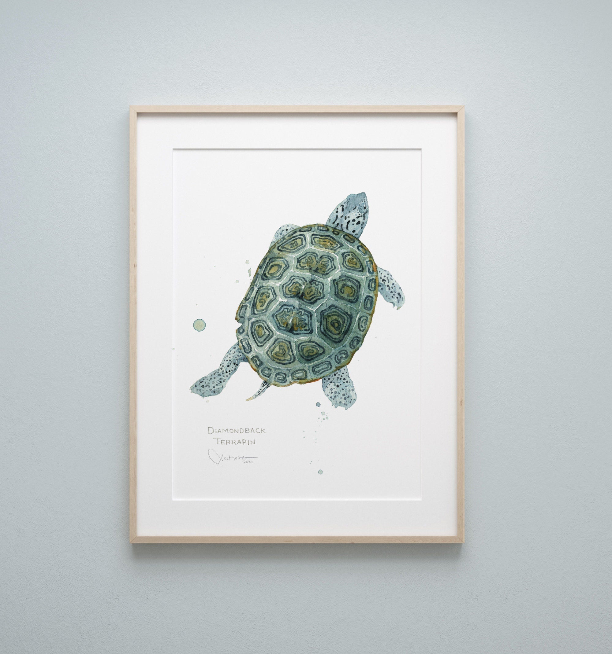 Diamondback Terrapin Art Print, Coastal Turtle Watercolor Wall Art