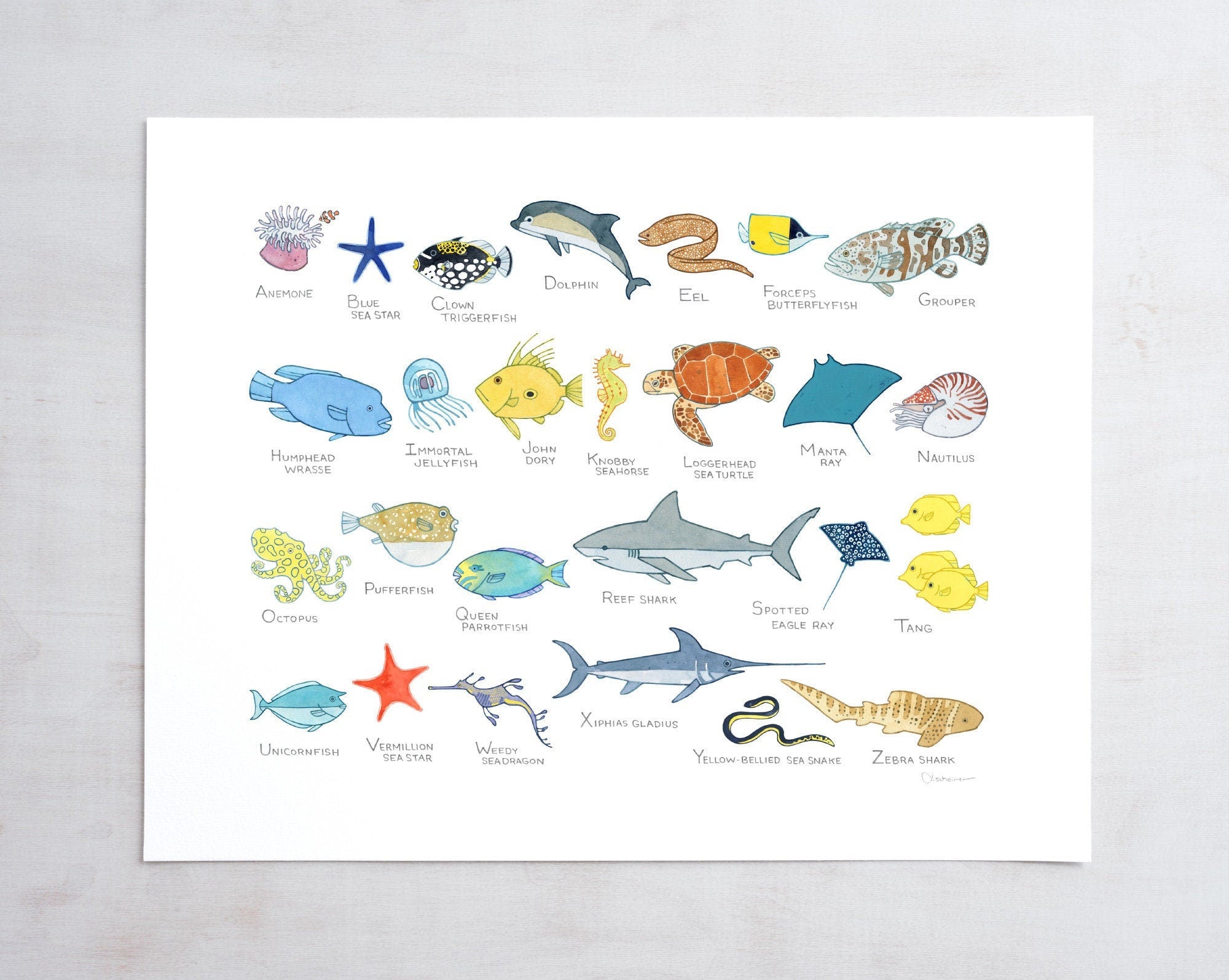 Ocean Animals Alphabet Print, Sea Creatures Kids Wall Decor