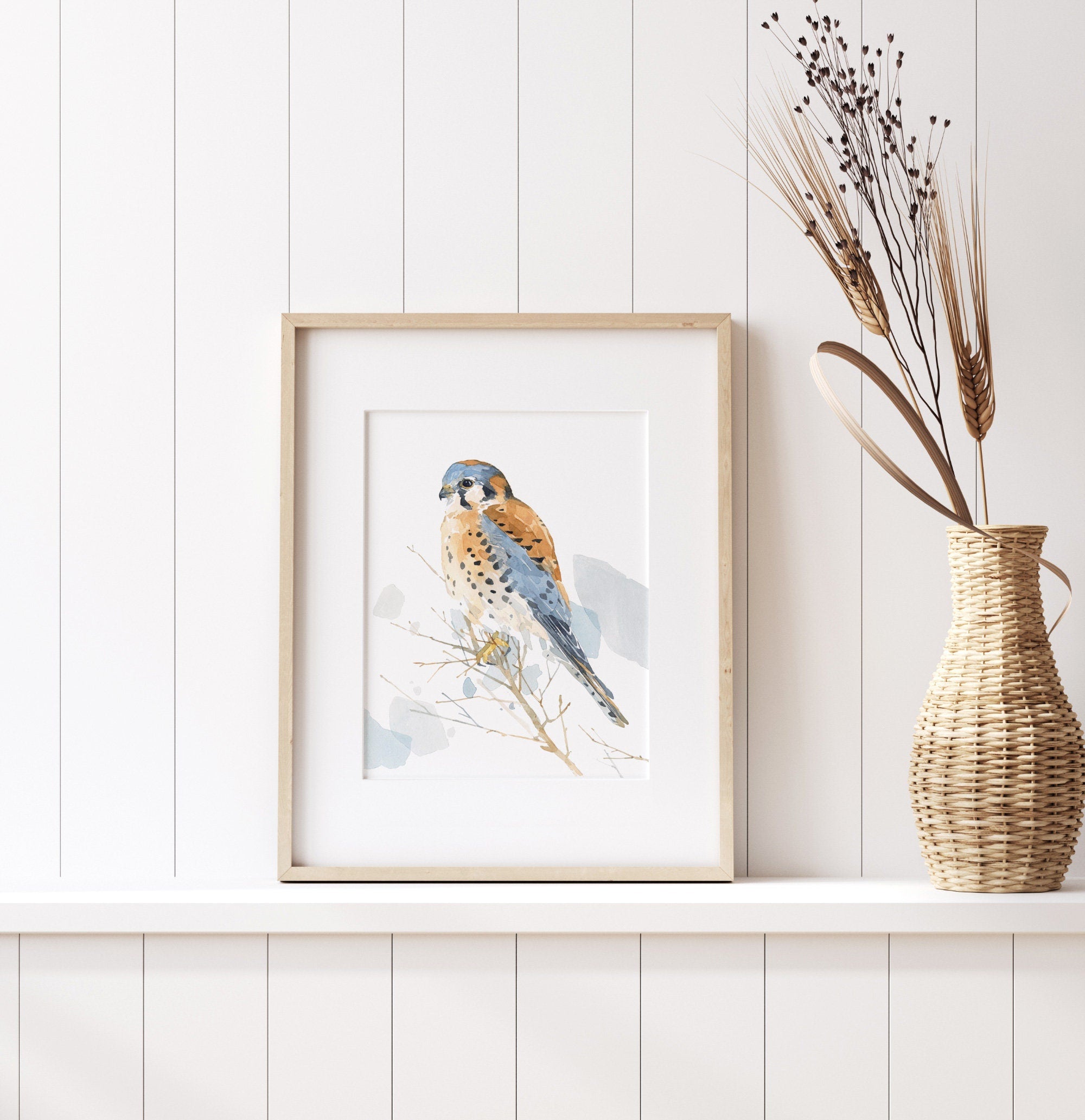 American Kestrel Watercolor Painting, Bird Print