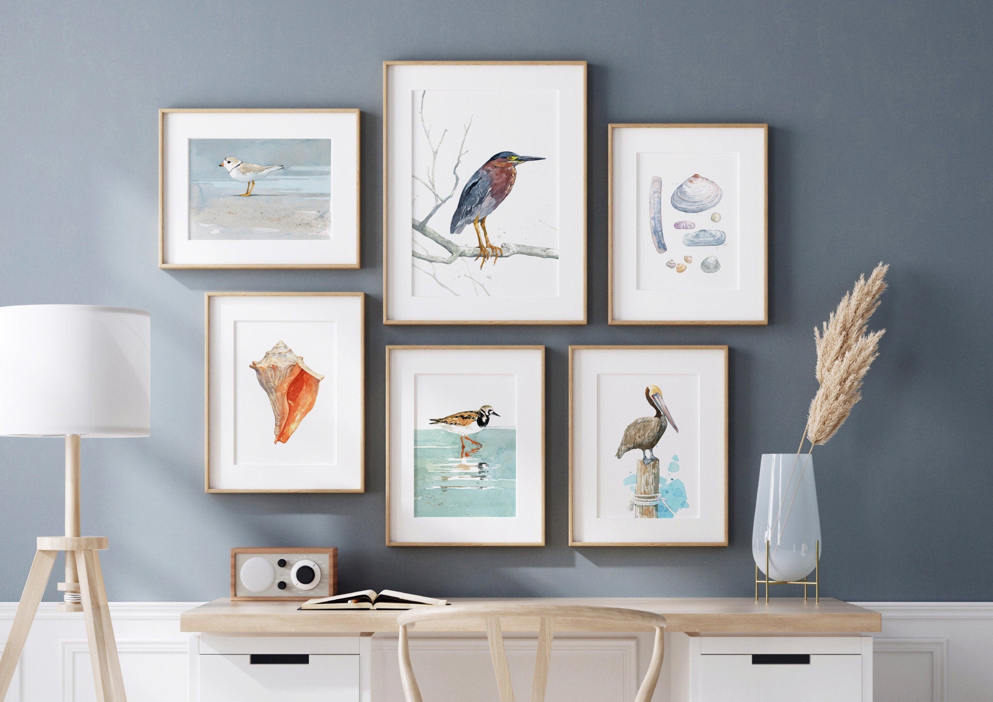 Ruddy Turnstone Shorebird Art Print, Beach Sandpiper Wall Decor