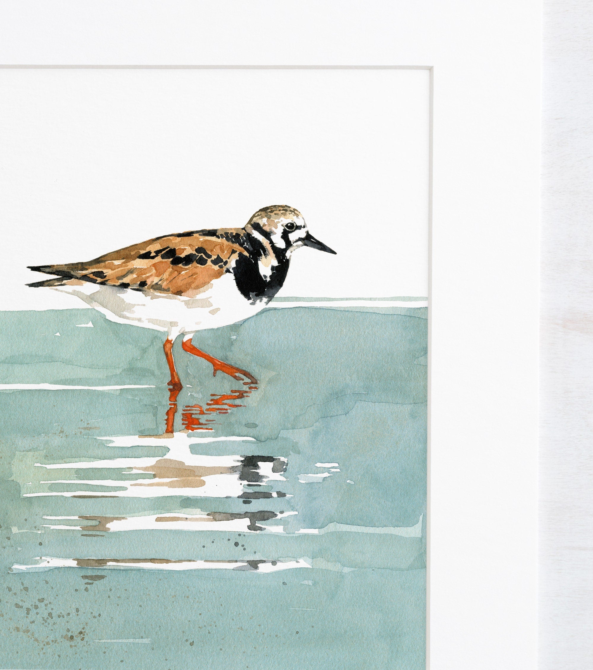 Ruddy Turnstone Shorebird Art Print, Beach Sandpiper Wall Decor
