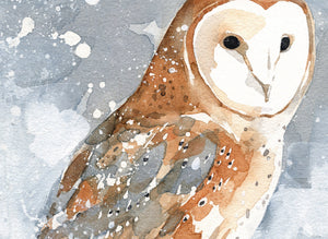 Barn Owl in Snow Christmas Card Set, Winter Bird Rustic Country Holiday Cards