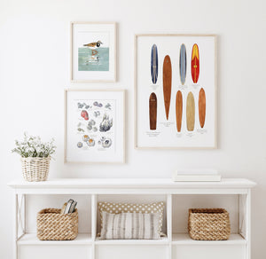 Barnacles Chart Art Print, Nautical Watercolor Painting, Coastal Wall Decor
