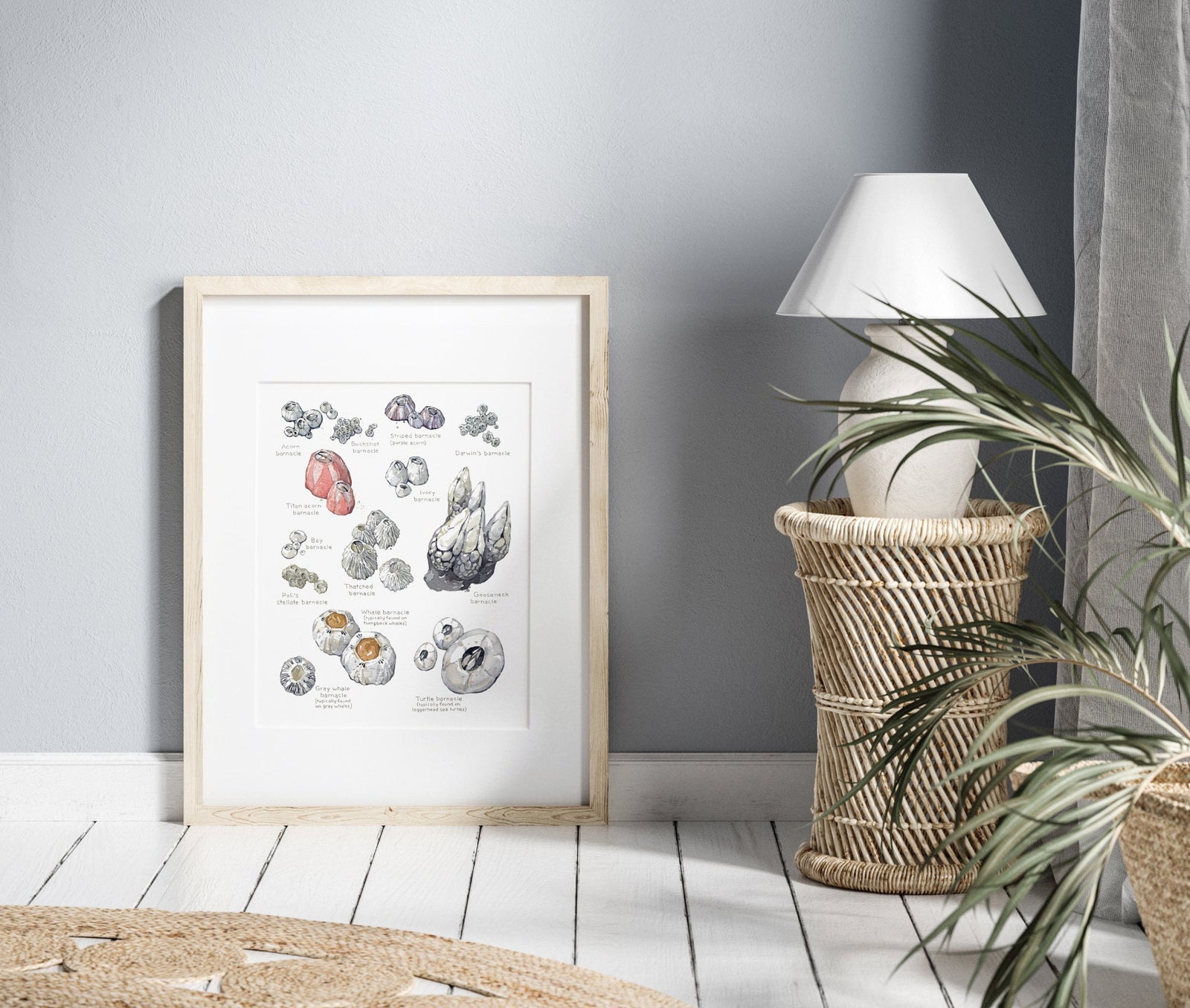 Barnacles Chart Art Print, Nautical Watercolor Painting, Coastal Wall Decor