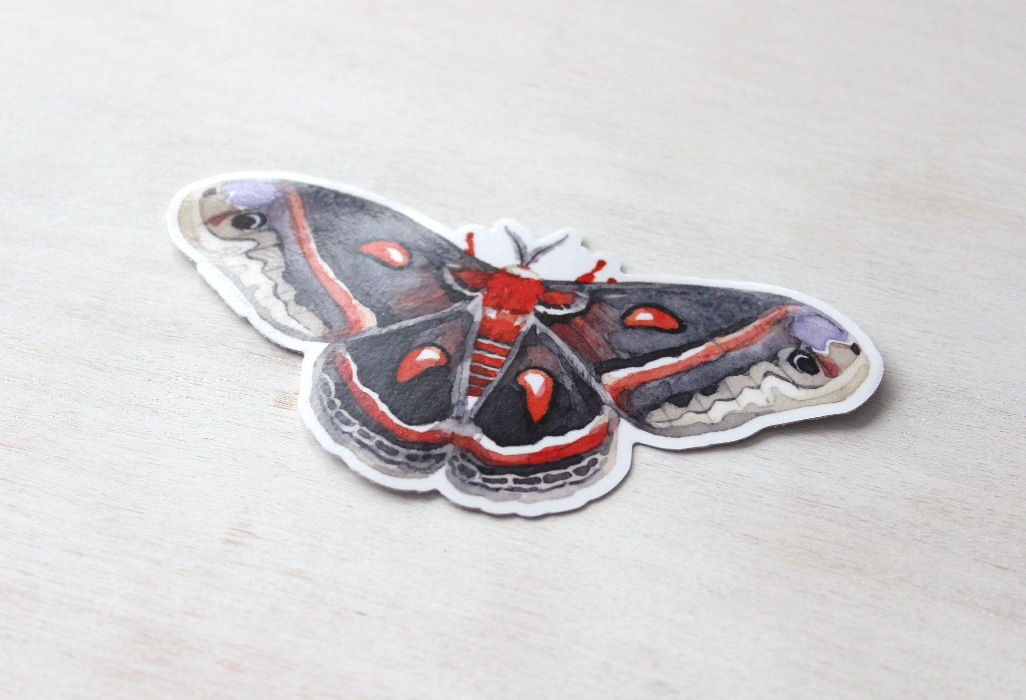 Moth Sticker, Cecropia Moth Insect Sticker,  Waterproof Vinyl Art Sticker Decal