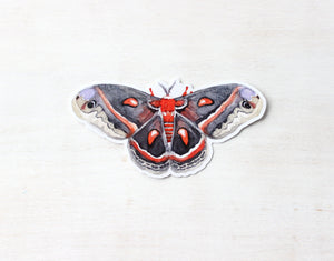 Moth Sticker, Cecropia Moth Insect Sticker,  Waterproof Vinyl Art Sticker Decal