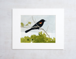 Red-winged Blackbird Watercolor Print, Bird Painting Wall Art