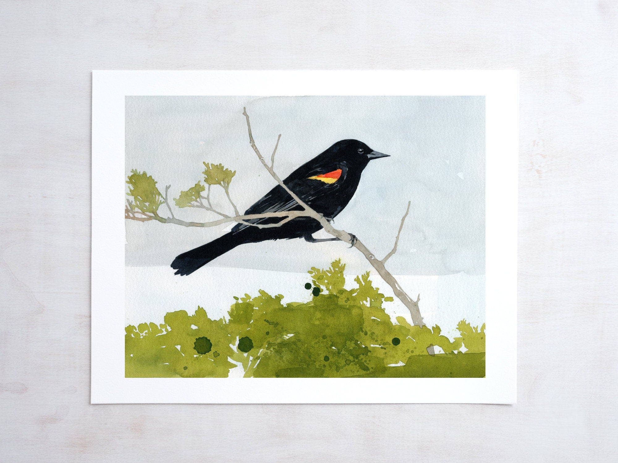 Red-winged Blackbird Watercolor Print, Bird Painting Wall Art