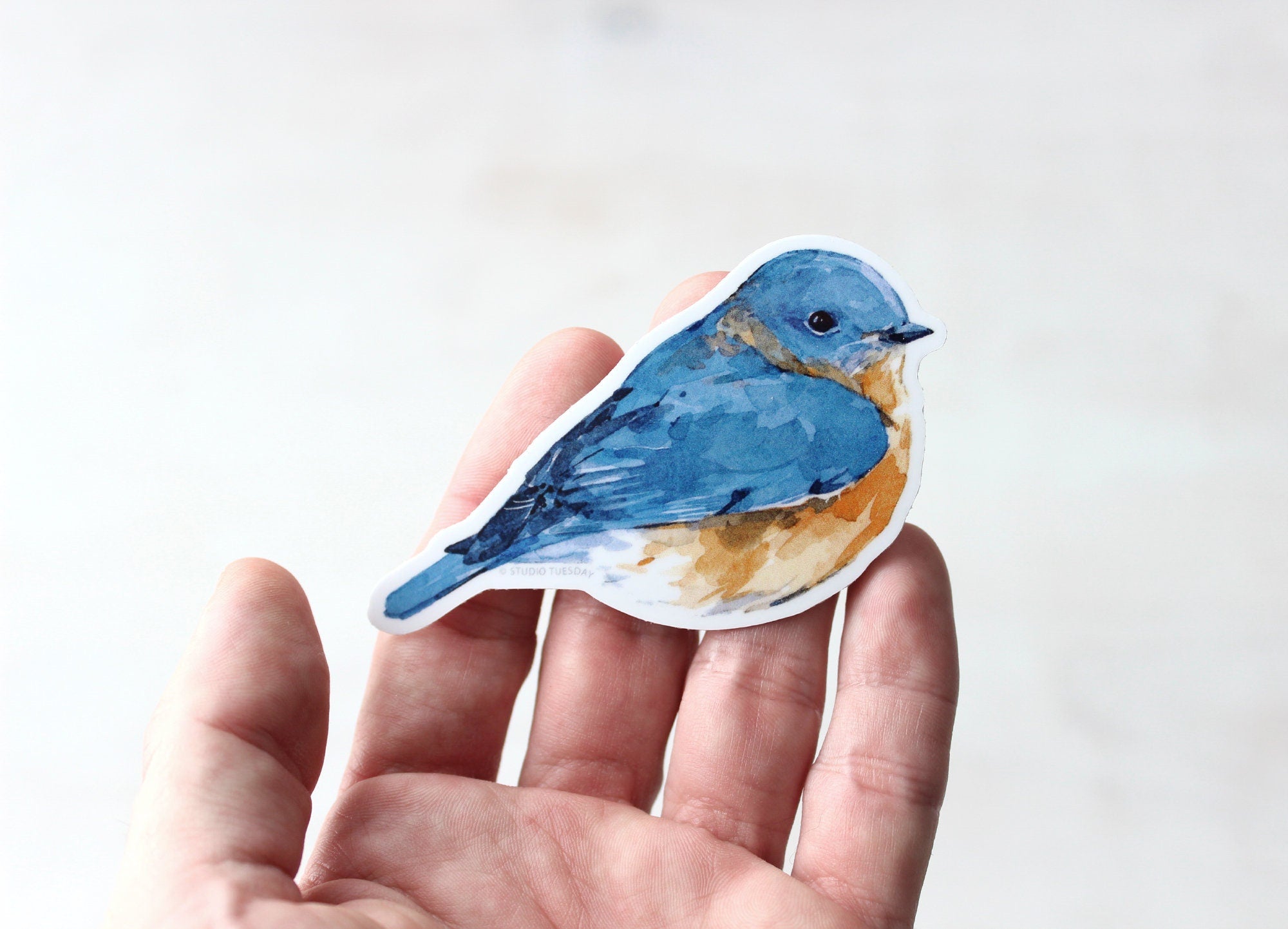 Bluebird Sticker, Backyard Bird Sticker, Bird Watcher Waterproof Vinyl Art Sticker Decal