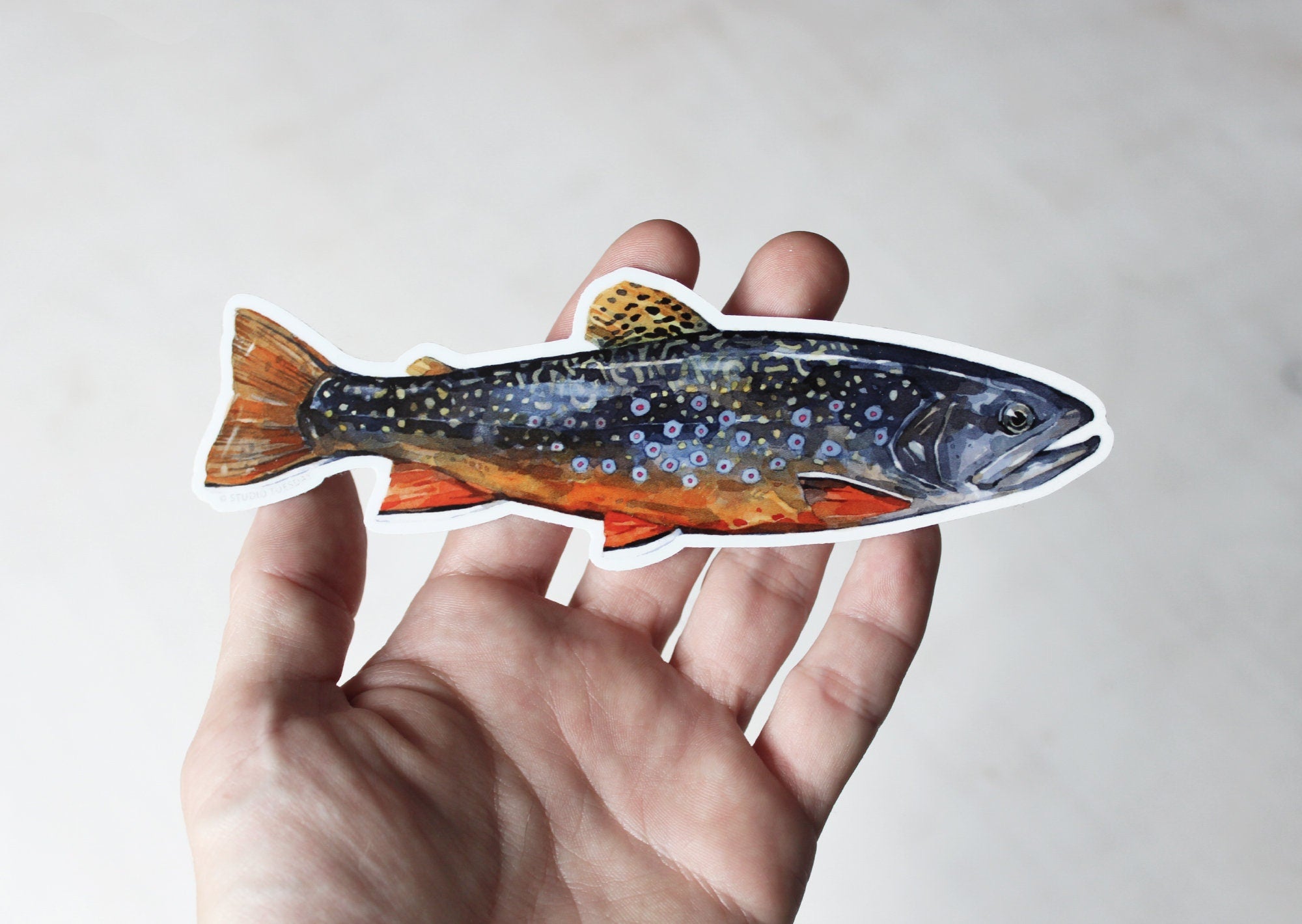 Brook Trout Sticker, Flyfishing Woodland Laptop Sticker, Waterproof Vinyl Art Sticker Decal