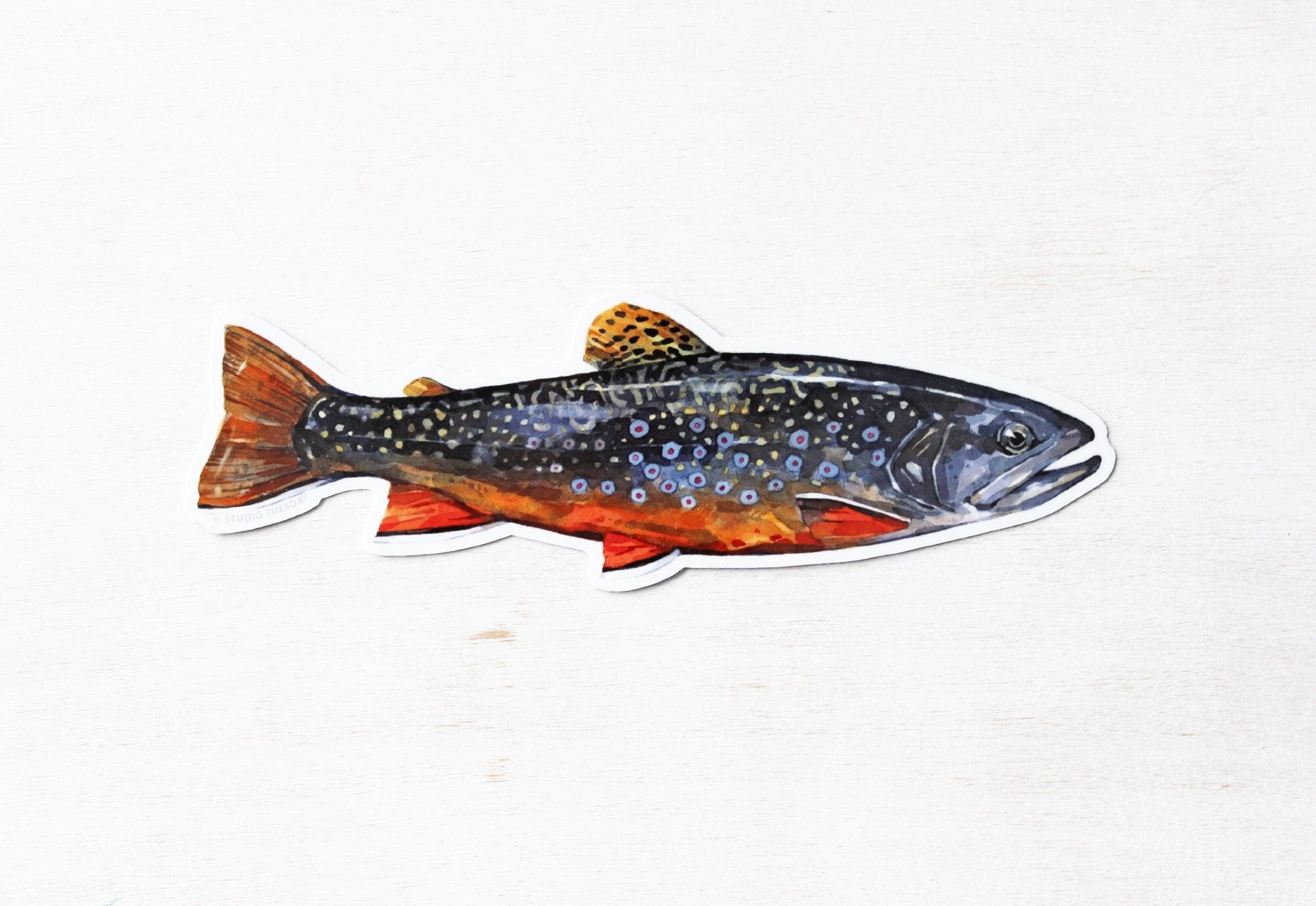 Brook Trout Sticker, Flyfishing Woodland Laptop Sticker, Waterproof Vinyl Art Sticker Decal