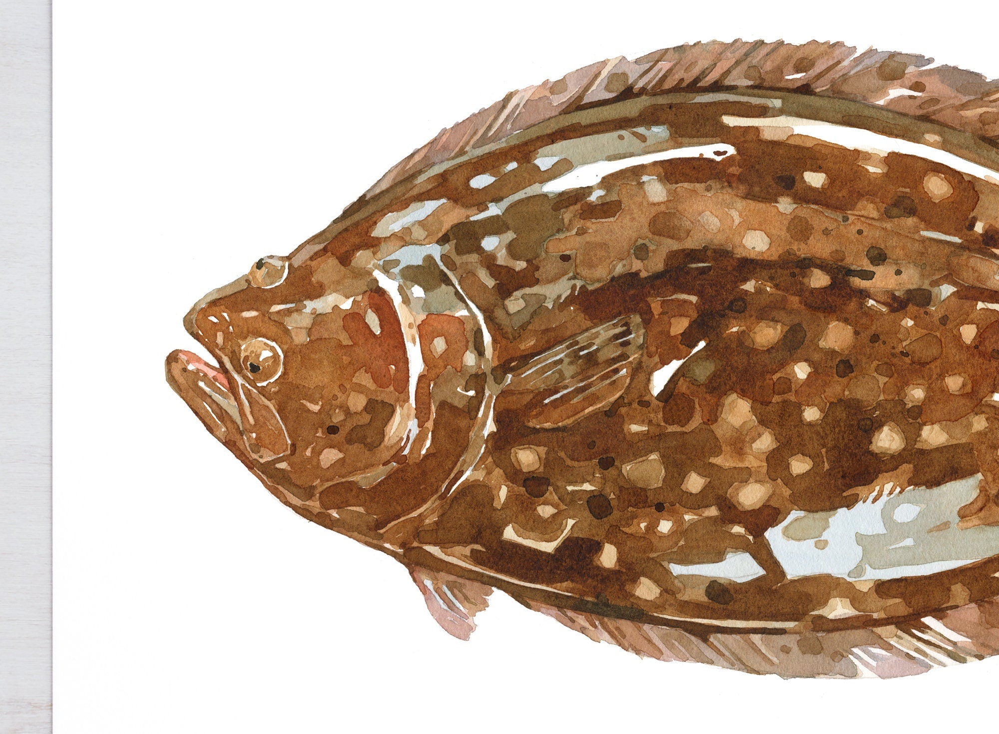 Flounder Watercolor Print, Nautical Fish Art, Coastal Fish Decor