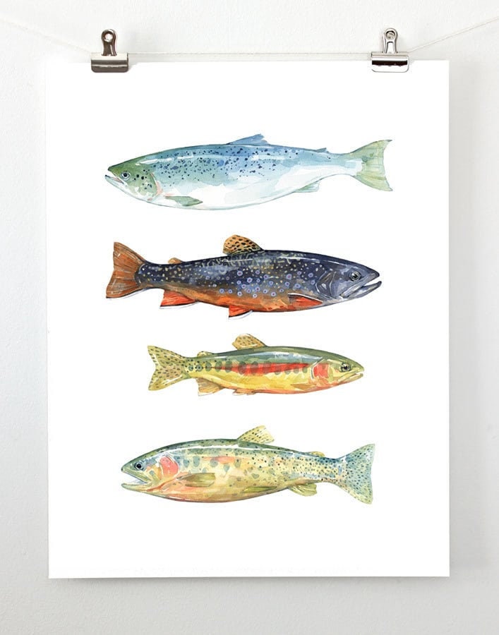 Trout Watercolor Art Print, Fly Fishing Trout Painting, Colorful Fish Decor