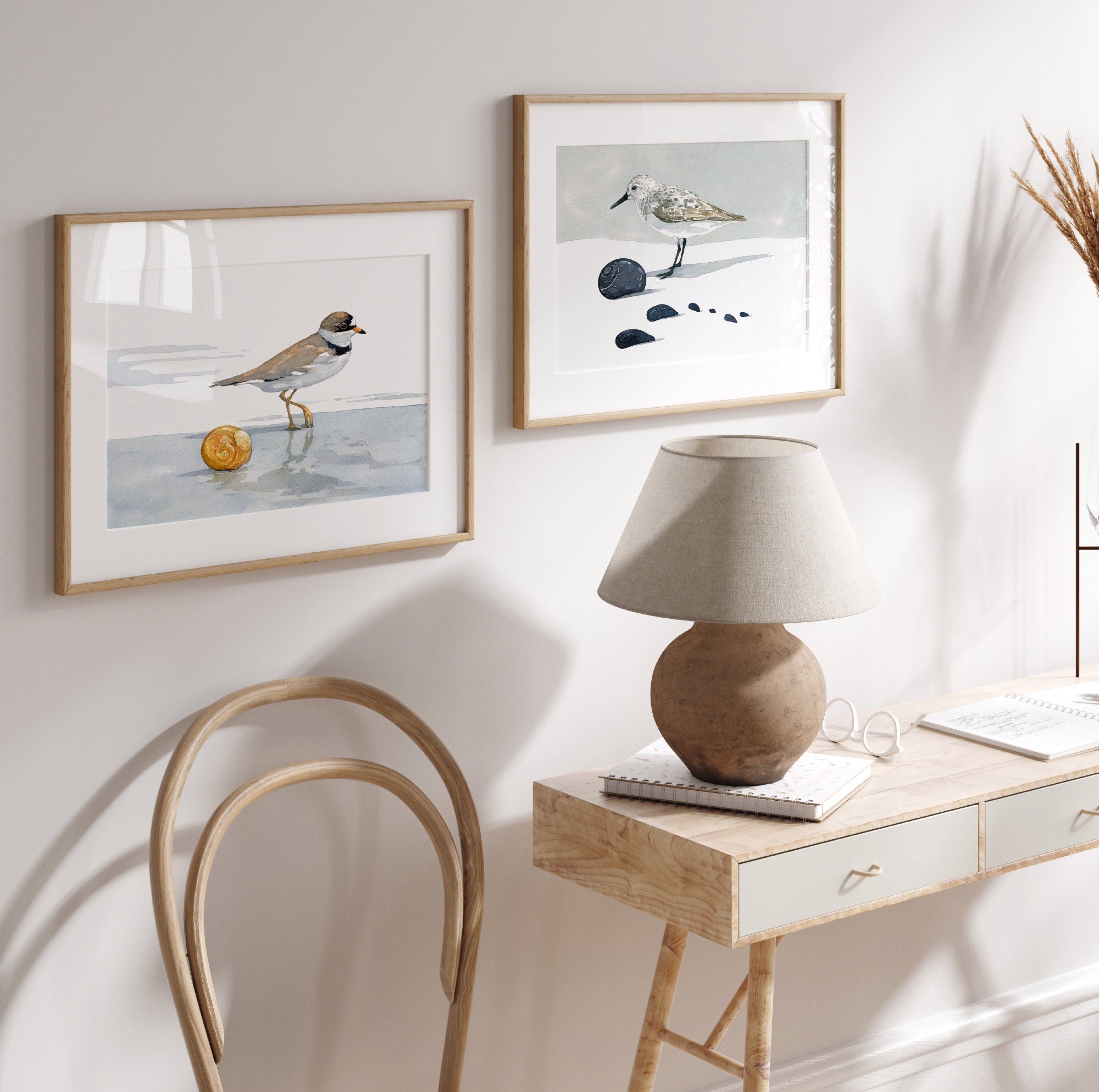 Semipalmated Plover, Shorebird and Shell Watercolor Print, Seaside Print, Beach Art Painting, Sharks Eye Shell