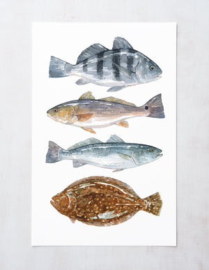 Ocean Fish Art Print, Saltwater Inshore Fish Watercolor