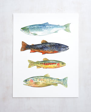 Trout Watercolor Art Print, Fly Fishing Trout Painting, Colorful Fish Decor