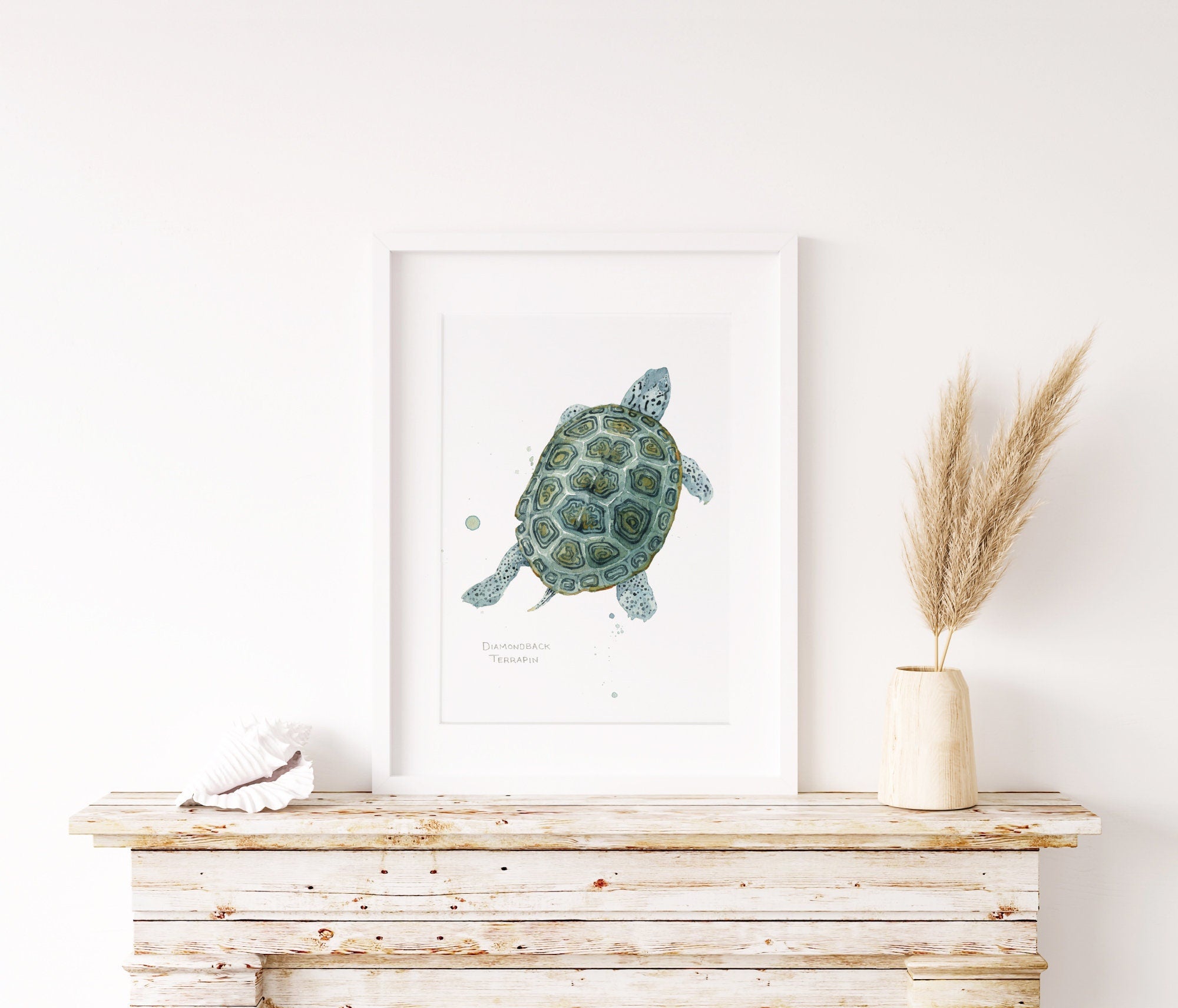 Diamondback Terrapin Art Print, Coastal Turtle Watercolor Wall Art