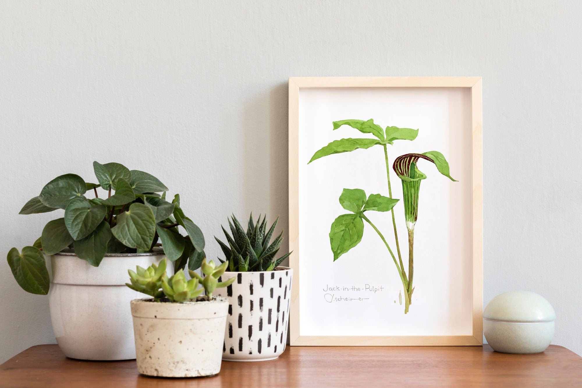 Jack in the Pulpit Watercolor Botanical Art Print, Woodland Plant Wall Decor