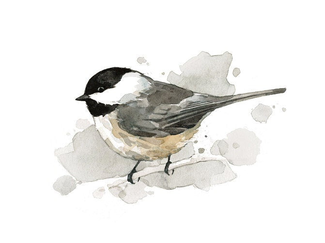 Chickadee Watercolor Painting, Spring Bird Print, Backyard Birdwatcher