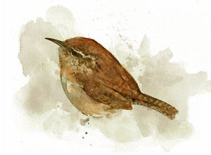 Carolina Wren Watercolor Painting 5x7 Print