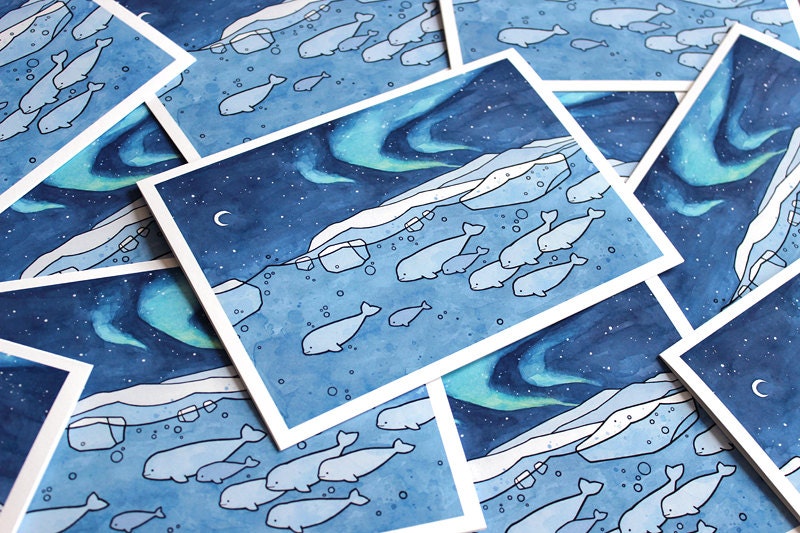 Belugas Arctic Northern Lights Holiday Card Set