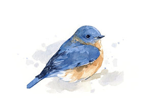 Bluebird Watercolor Painting, Bird Print