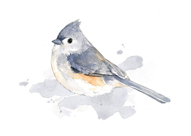 Tufted Titmouse Print, Bird Watercolor Painting, Bird Art