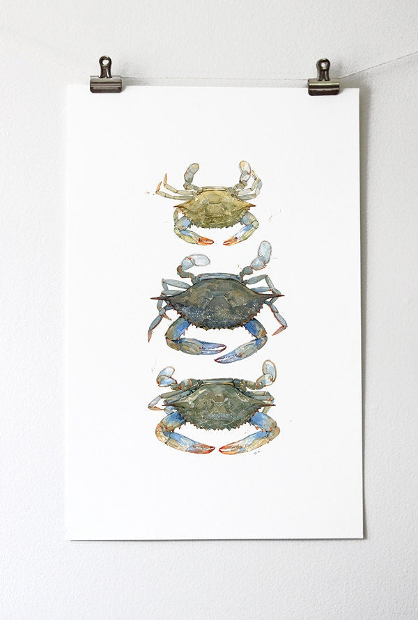 Blue Crabs Watercolor Painting Print, Coastal Beach Art, Seaside Decor, Maryland Blue Crab