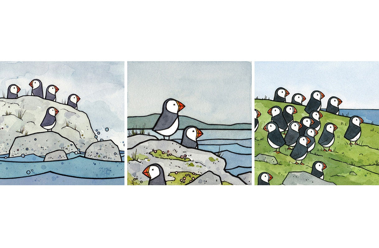 Puffins Illustration Print Set - Three 5x5 Prints