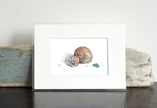 Sharks Eye Shell Watercolor Painting, Small Beach Art Print, Moon Snail Shells, Sea Glass Art