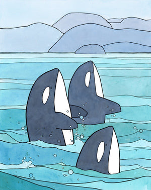 Orca Print, Killer Whales Illustration, Pacific Northwest Coastal Nursery Art