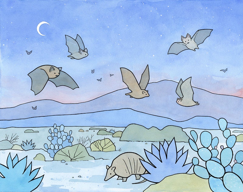 Bats and Armadillo Southwest Desert Print, Animal Illustration, Limited Edition Art Print