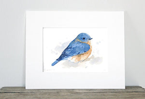 Bluebird Watercolor Painting, Bird Print