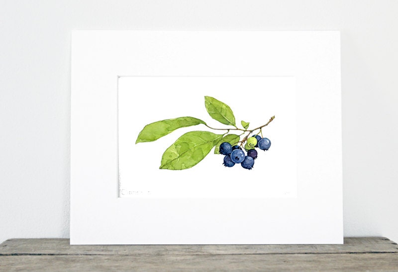 Blueberries Botanical Watercolor Print, Botanical Watercolor