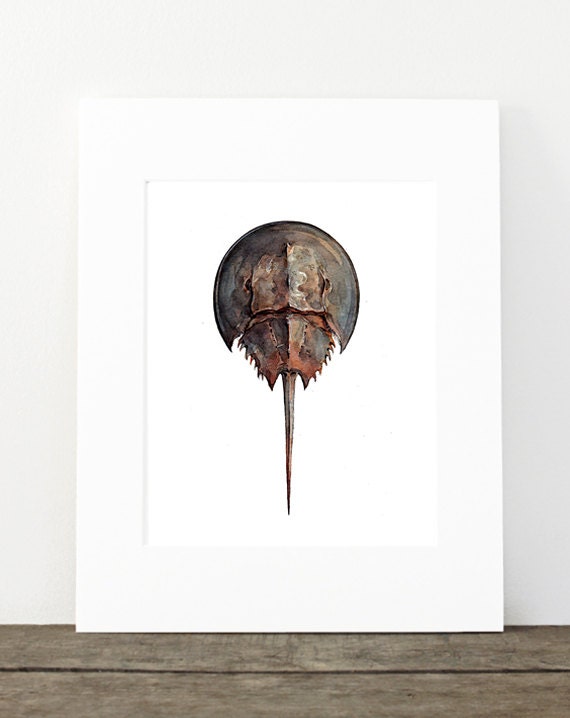 Horseshoe Crab Watercolor Painting, Seashore Beach Print