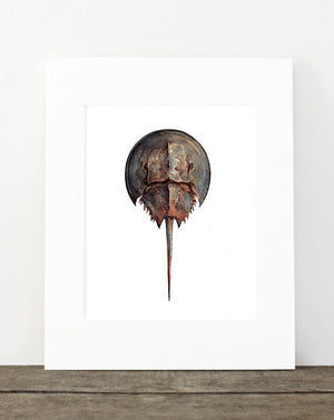 Horseshoe Crab Watercolor Painting, Seashore Beach Print