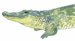 Alligator Print, Watercolor Animal Art Print