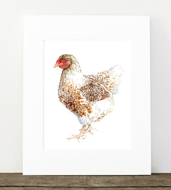 Chicken Watercolor Print, White and Brown Hen, 8x10 Farm Animal Print