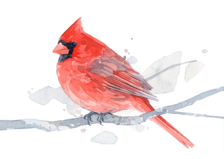 Red Cardinal Watercolor Art Print, 5x7 Bird Painting Wall Art