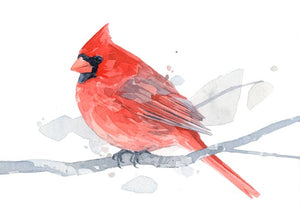 Red Cardinal Watercolor Art Print, 5x7 Bird Painting Wall Art